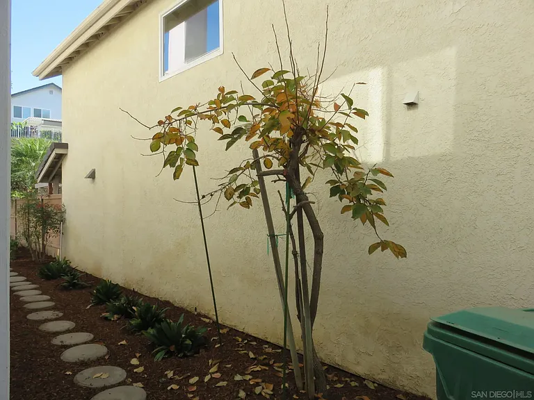10884 Corte Playa Solana — Photo 5