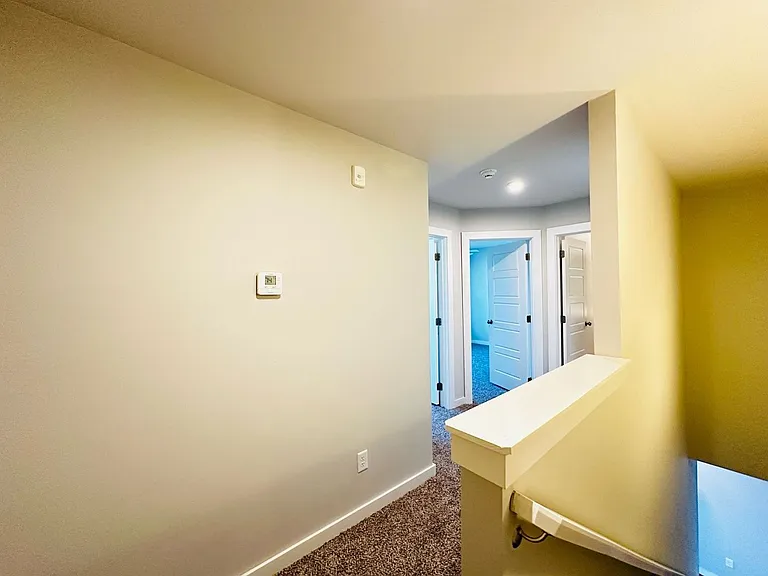 2116 Camino Del Plaza Ln — Photo 19
