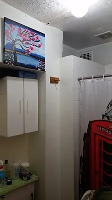 Rented by Signature Property Realty | media 15