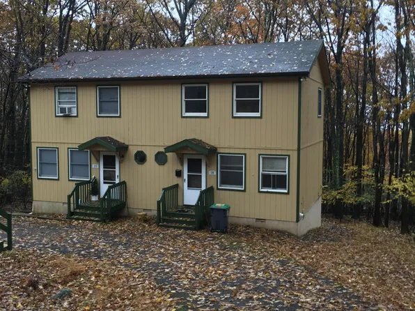 18 Brookeville Ter, Mount Pocono, PA 18344