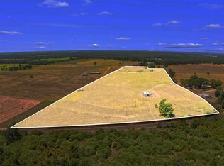 1272 An County Rd #1211, Grapeland, TX 75844