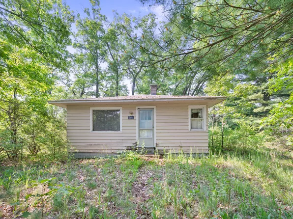 2456 Woodland Lake Dr, Bitely, MI 49309