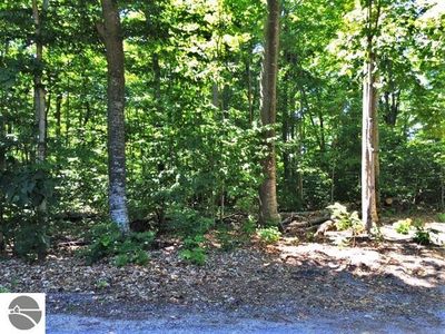 S Linden Ct LOT 10, Cedar, MI, 49621