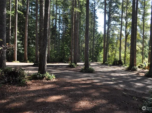 561 & 581 N Duckabush Drive W, Hoodsport, WA 98548