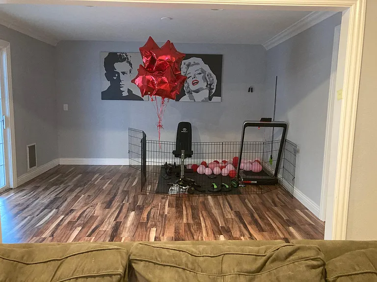 1154 Schaupp Ct — Photo 13