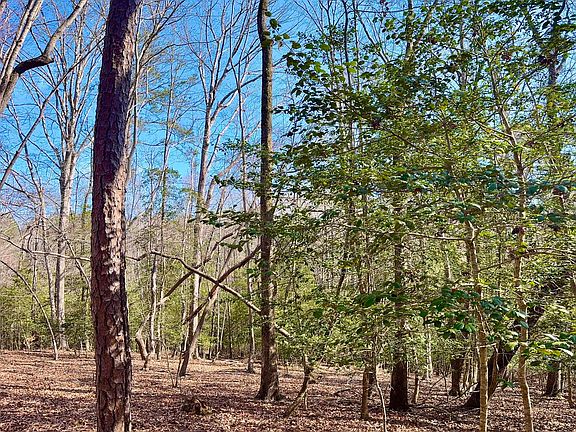 3rd image of 2046 Treetop Circle