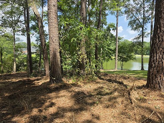 4th image of 620 Plantation Dr