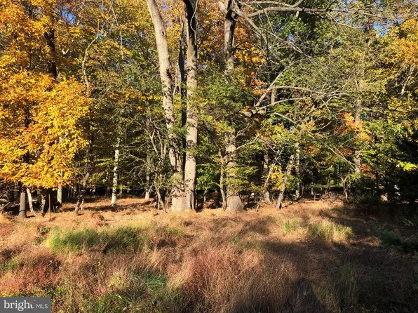 0 Lonely Cottage Rd, Upper Black Eddy, PA 18972