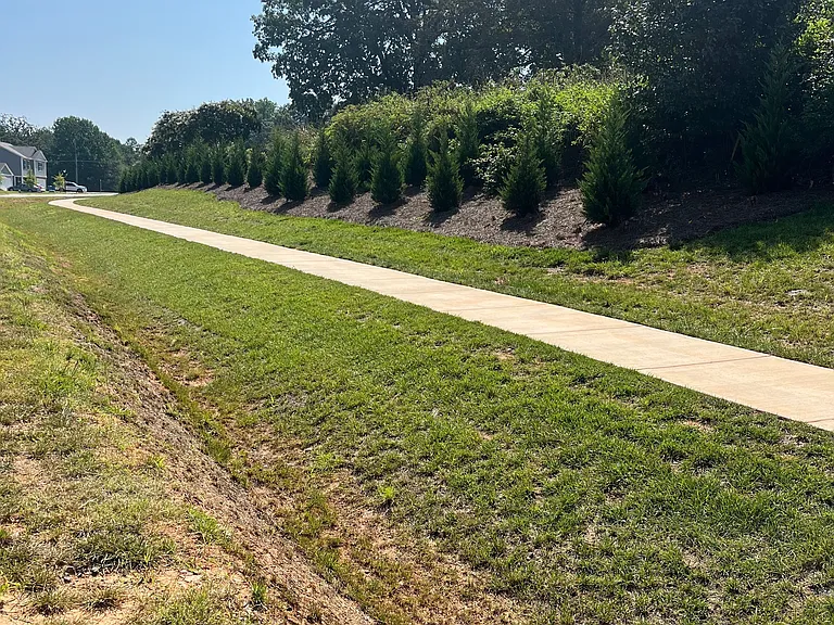 2259 Meadow Stream Dr — Photo 29