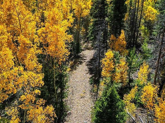 2nd image of TBD Jasper Creek