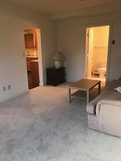 3 bed, 1200 sqft, $2,700 — Photo 4