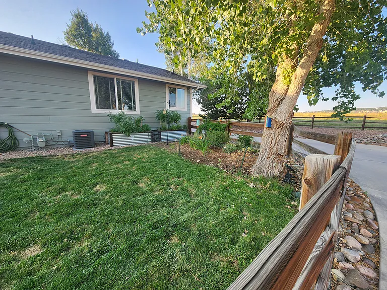 Raised beds & garden area with beautiful perineal plants and flowers.