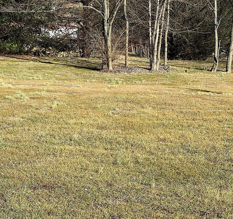 2nd image of LOT 8 S Chapman St