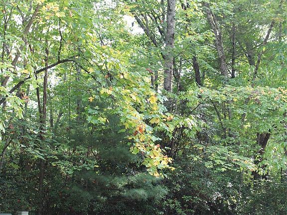 4th image of Lookout Dr #16