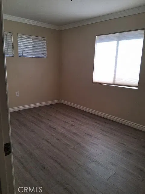 2 bed, 1000 sqft, $2,450 — Photo 4