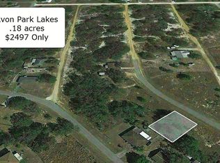 2849 N Nepera Rd, Avon Park, FL 33825