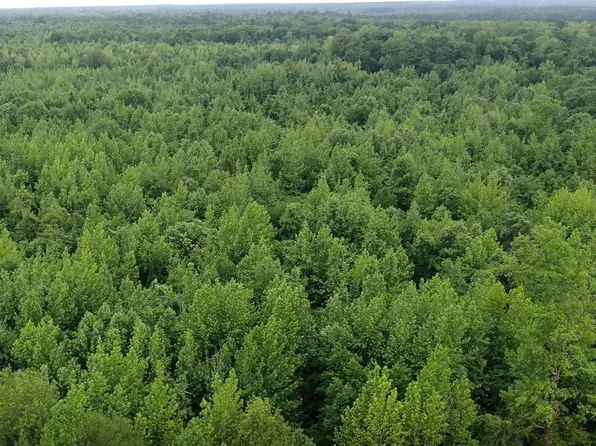 Rowell Rd E, Rison, AR 71665