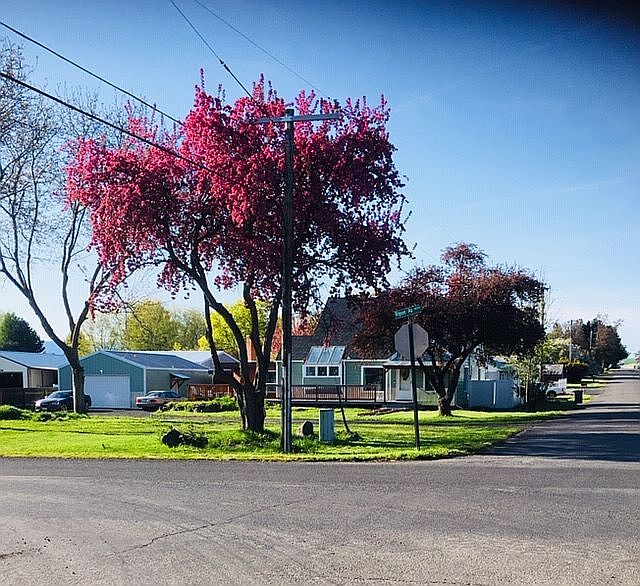 2nd image of 1602 Ripon Ave