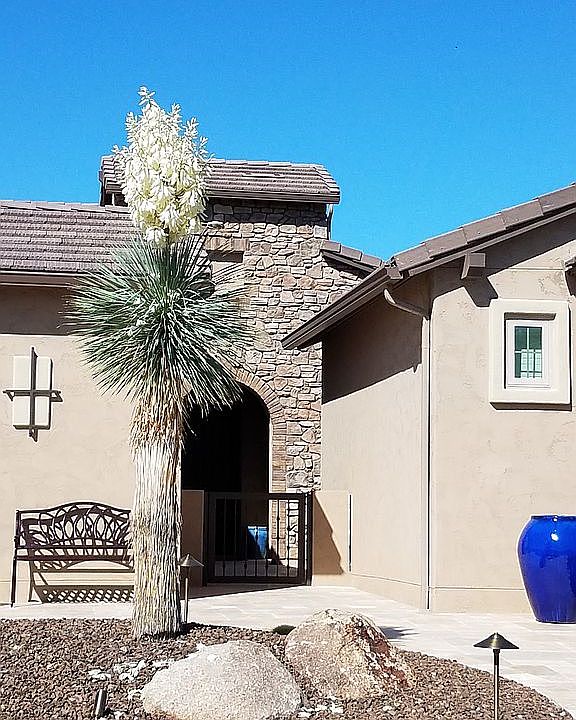 1st image of 3738 N 164th Ave