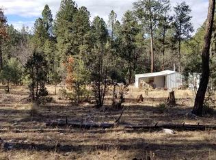 21 E Spur Rd, Cloudcroft, NM 88317