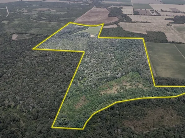 Frank Bell Rd Lot Wp001, Oak Ridge, LA 71264