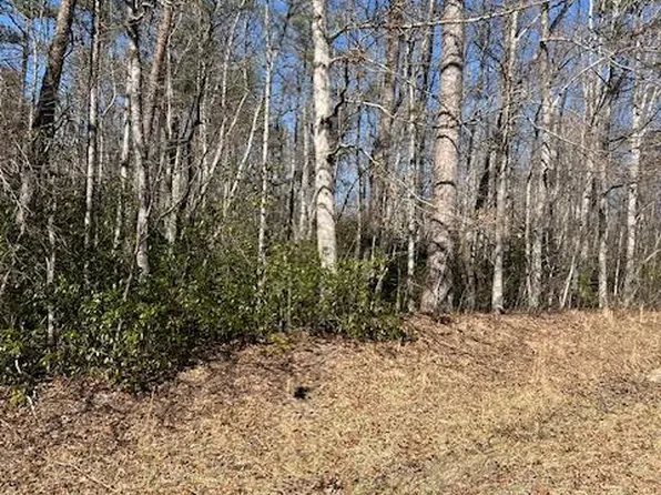 LOT 49 Street Place Loop, Monterey, TN 38574