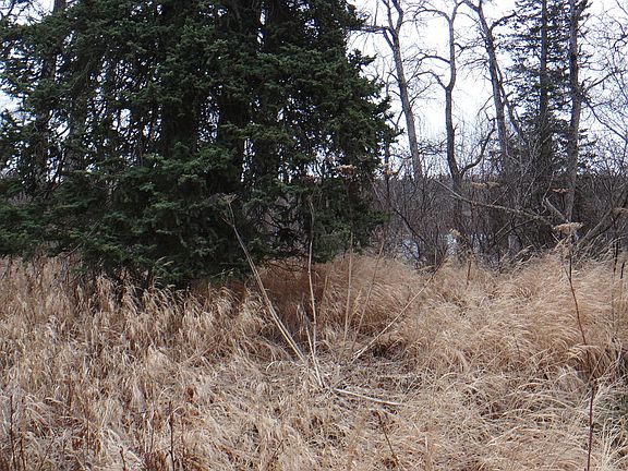 5th image of L18 B4 Nushagak Ct