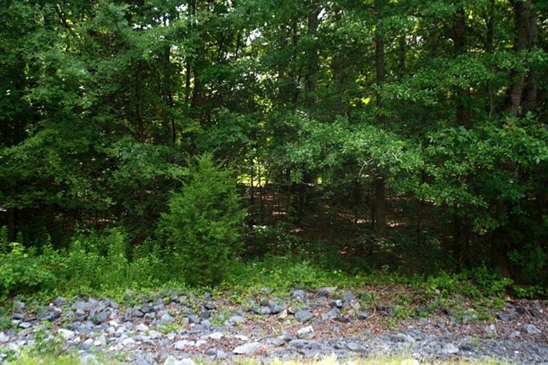 1st image of 5030 Tracewood Ct