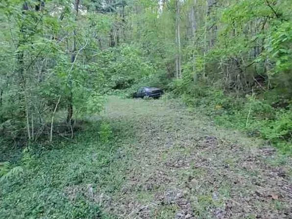 217 Coal Chute Rd, Elizabethton, TN 37643