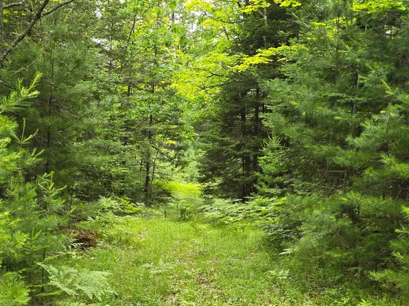 3598 Monheim Rd, Conover, WI 54519