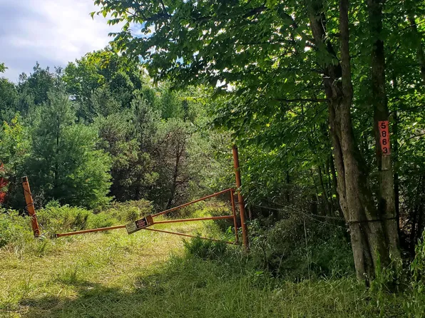 V/l 20ac Monaghan Point Rd, Alpena, MI 49707