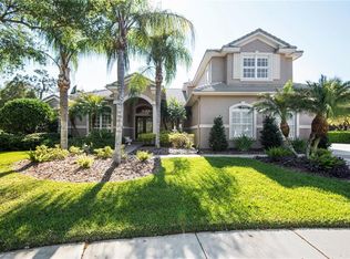 17201 Emerald Chase Dr, Tampa, FL 33647