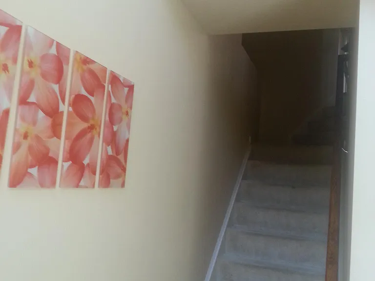 1065 Bayberry Dr — Photo 17