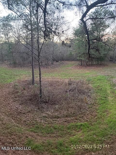 2nd image of 0 W Adams Station Rd