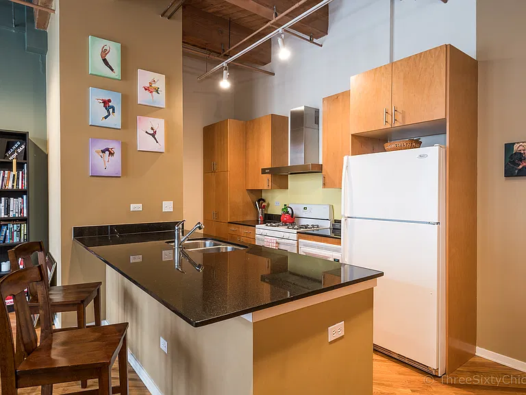 1040 W Adams St #309 — Photo 5