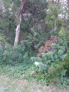 1092 S Blalock Way, Crystal River, FL, 34429