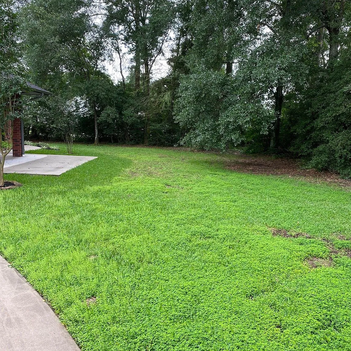 4 bed, 3.0 bath, 2524 sqft, $2,900 — Photo 3