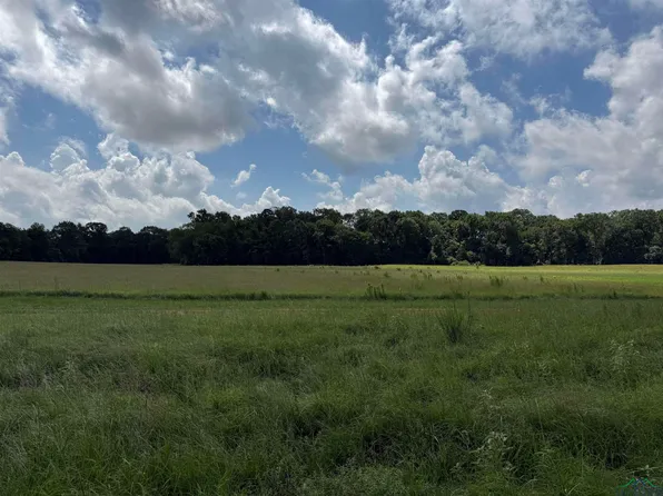 County Road 317 S, Henderson, TX 75654