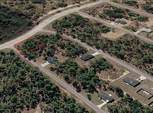 Silver Springs Shores # 31, Ocklawaha, FL 32179