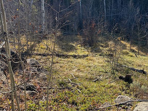 4th image of Spring Creek Emery Rd