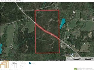 0 Ga Hwy 315, Ellerslie, GA 31807