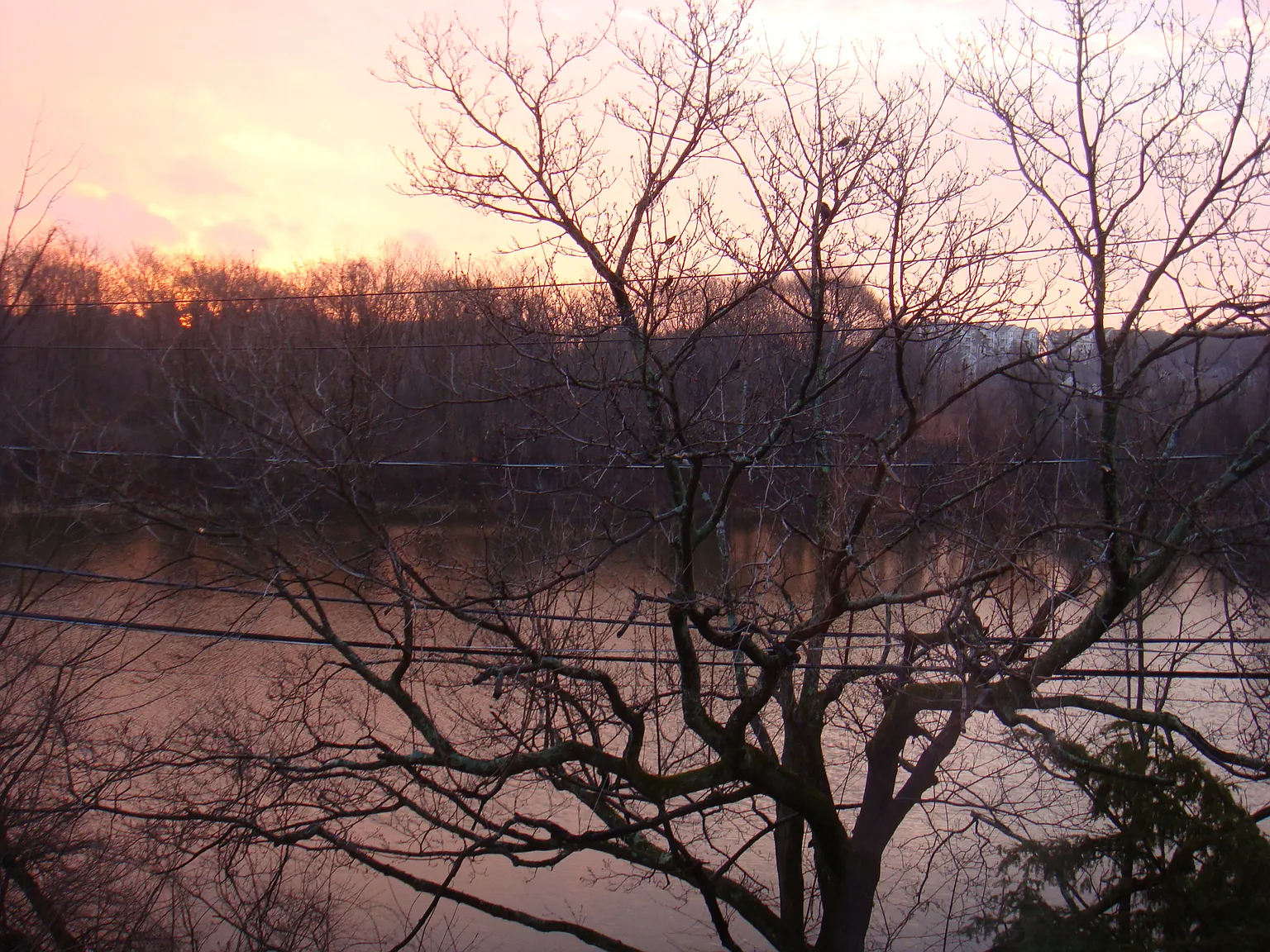 2 bed, 733 sqft, $2,600 — Photo 3
