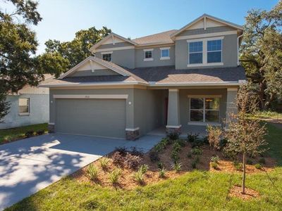 4315 S Trask St, Tampa, FL, 33611