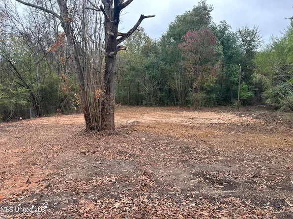 250 Queen Anne Ln Lot 20, Jackson, MS 39209