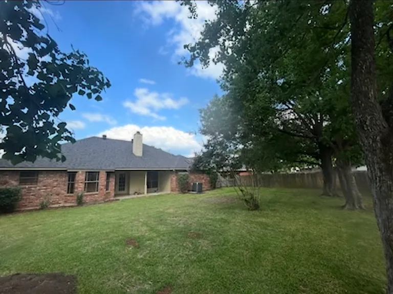 Ample Back Yard