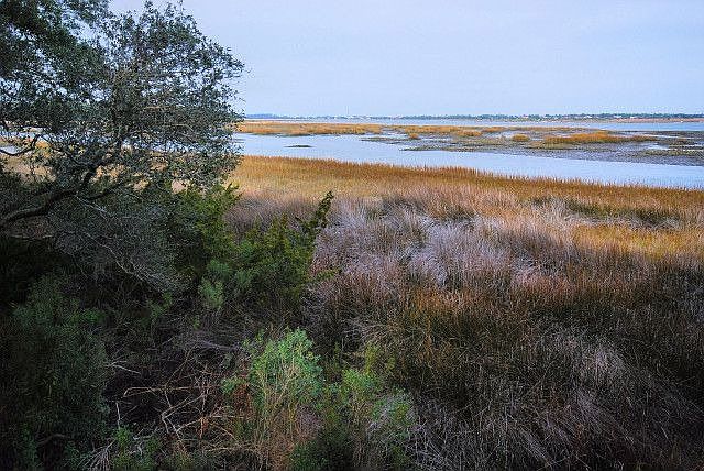 2nd image of 59 Tidal Marsh Trl