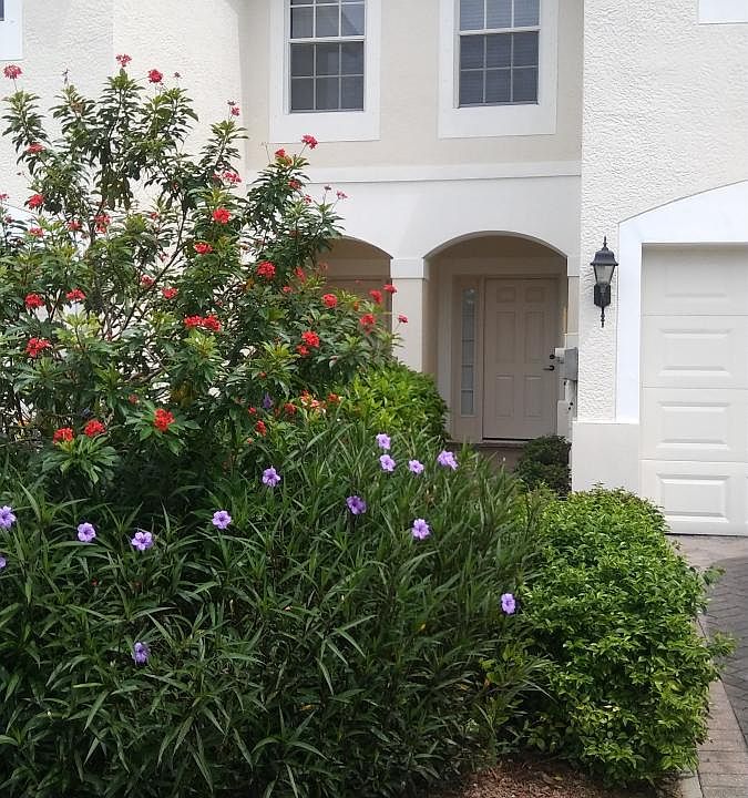 2nd image of 945 Hampton Cir