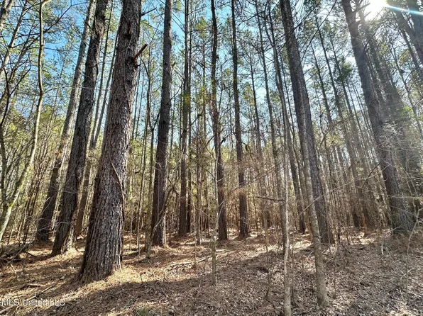 7 Cutoff Rd, Carthage, MS 39051