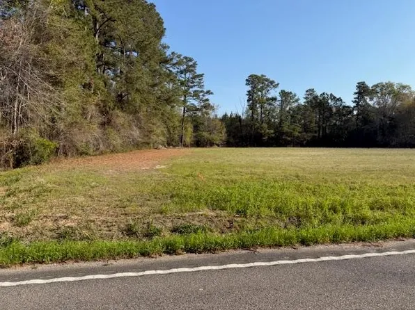 TBD Joyner Swamp Rd. Lot 1, Galivants Ferry, SC 29544
