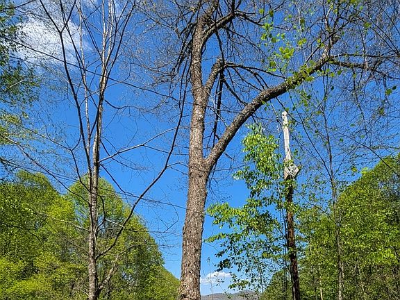 4th image of 11 Captiva Mountain Drive